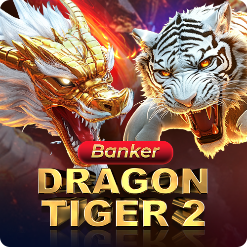 DRAGON TIGER 2 game artwork